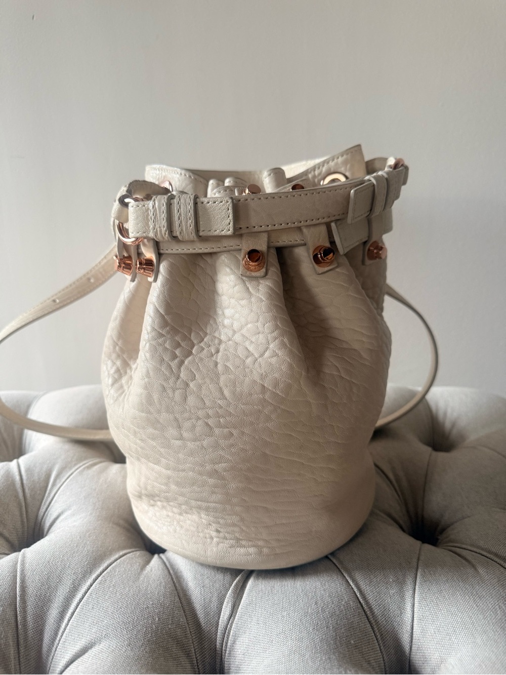 ARCHIVAL Alexander Wang Diego Bucket Bag Latte Rose Gold